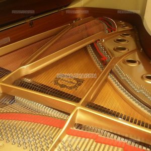 Đàn Grand Piano Cao Cấp Yamaha C7B