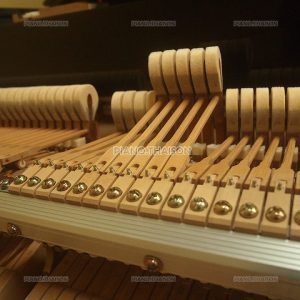 Đàn Grand Piano Cao Cấp Yamaha C7B