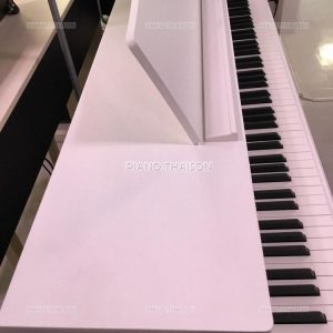 Đàn Piano Điện Kawai CA4900GP [Digital Piano]