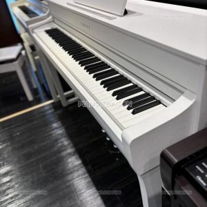 Đàn Piano Điện Yamaha SCLP-7350 [Digital Piano]