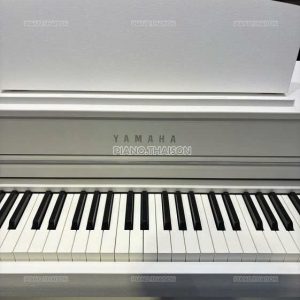 Đàn Piano Điện Yamaha SCLP-7350 [Digital Piano]